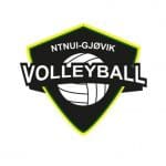 volleyball-ntnui-gjvik-2