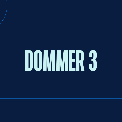 Dommer 3